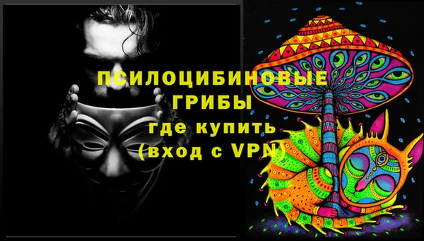 шишки Баксан